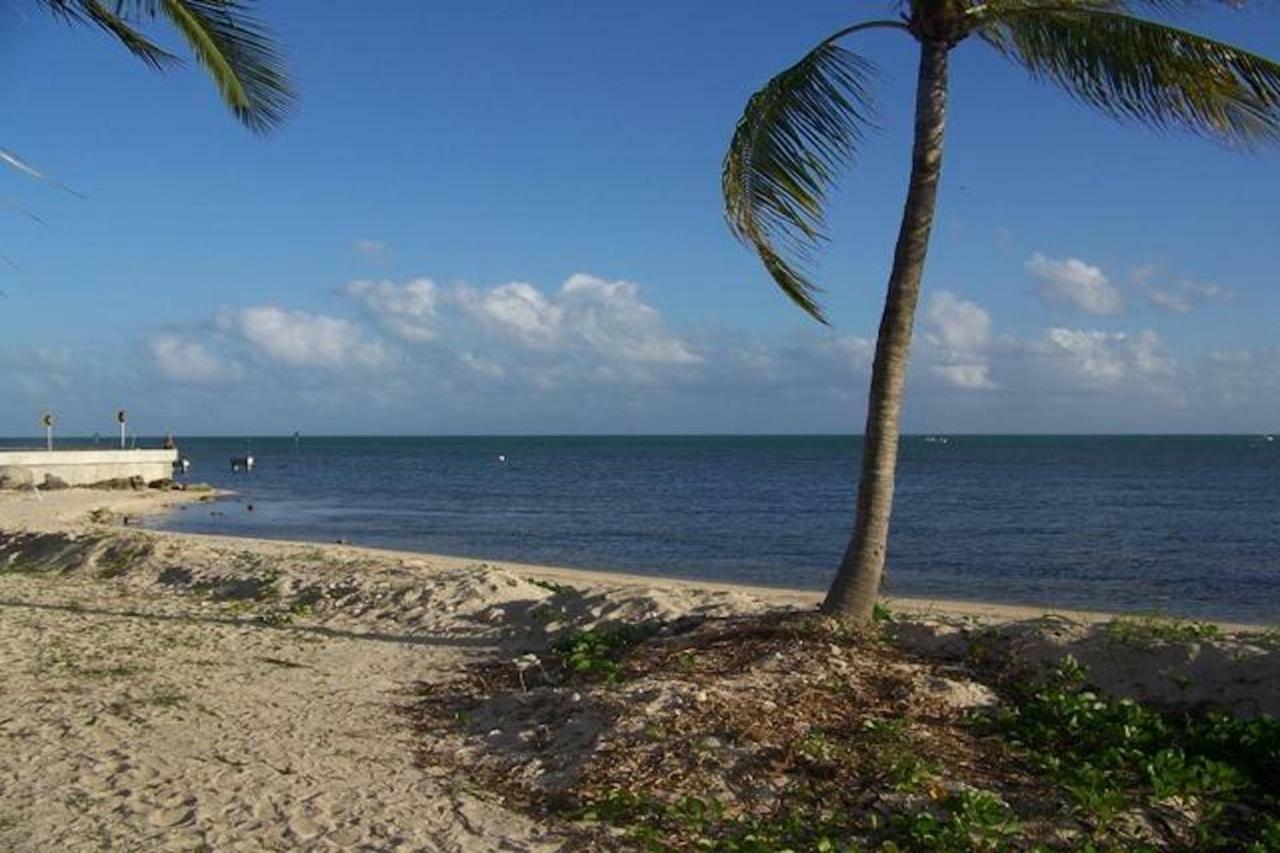 Вилла Coconut Palms Ки-Уэст Экстерьер фото